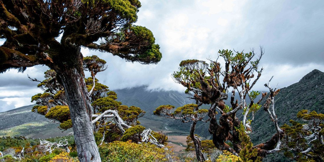 Discover New Zealand through a new lens